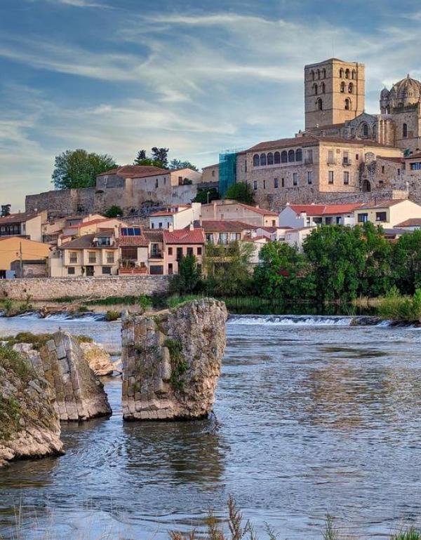 zamora